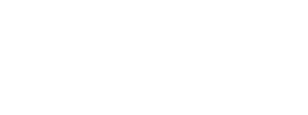 IRMA logo